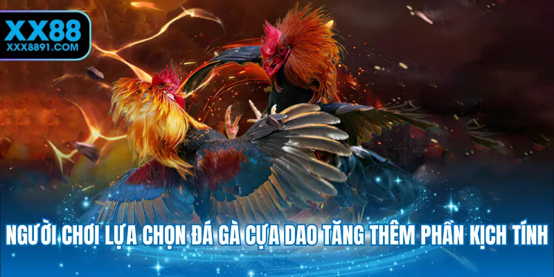 Người chơi lựa chọn đá gà cựa dao tăng thêm phần kịch tính